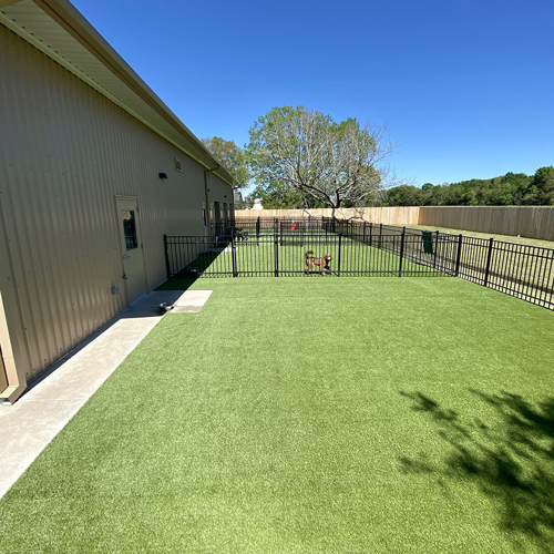 K-9 Turf  Image